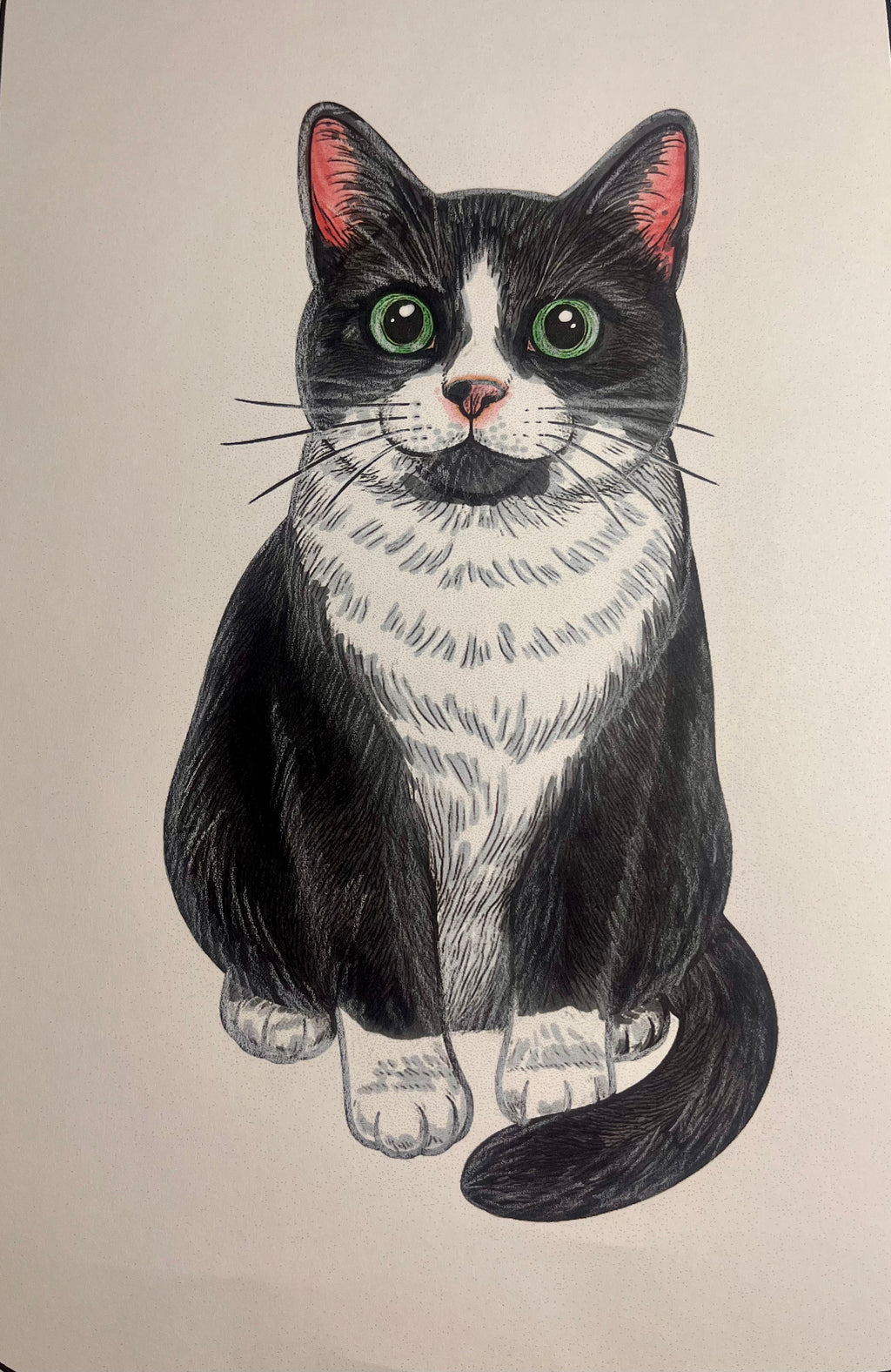 Custom Pet Portrait