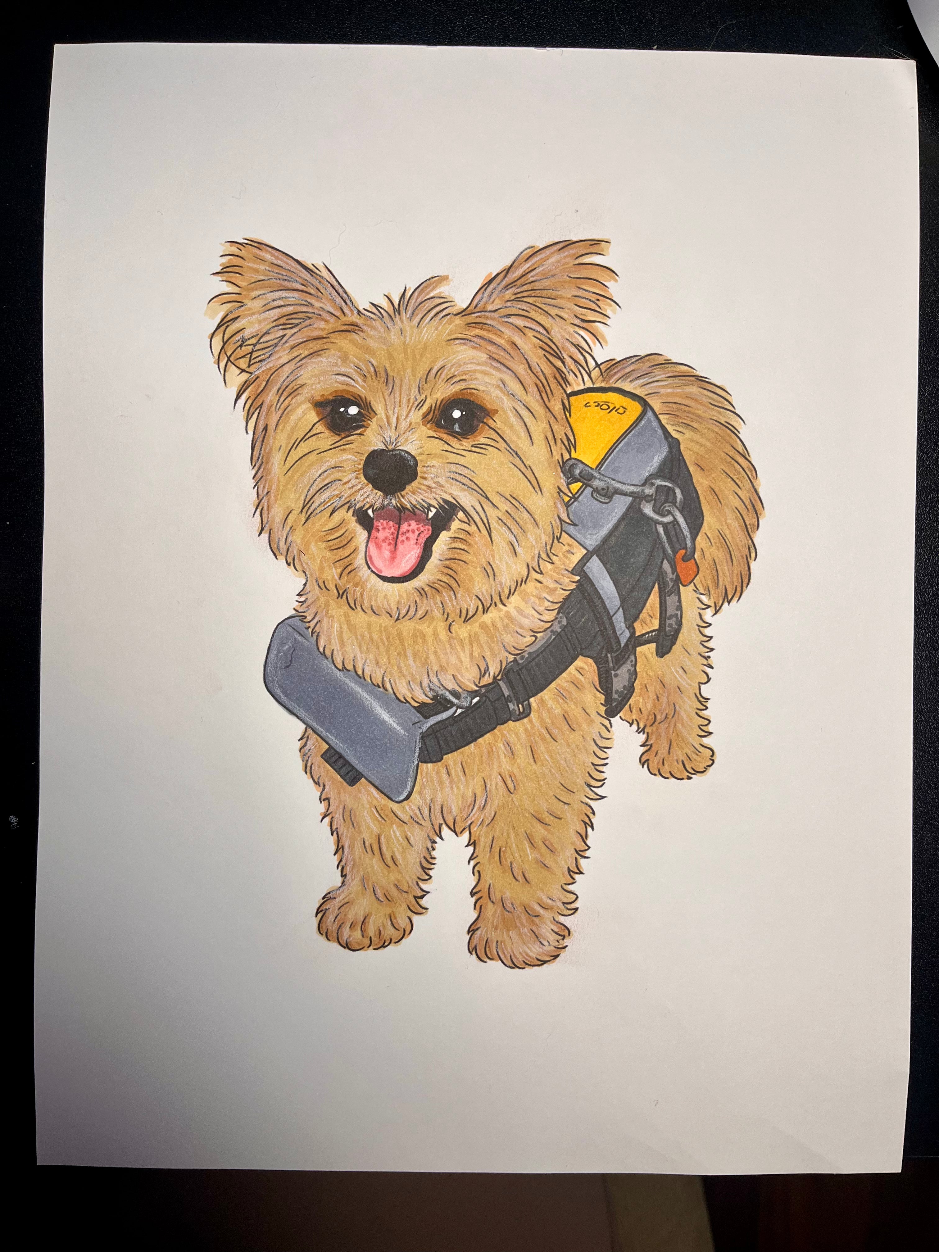 Custom Pet Portrait