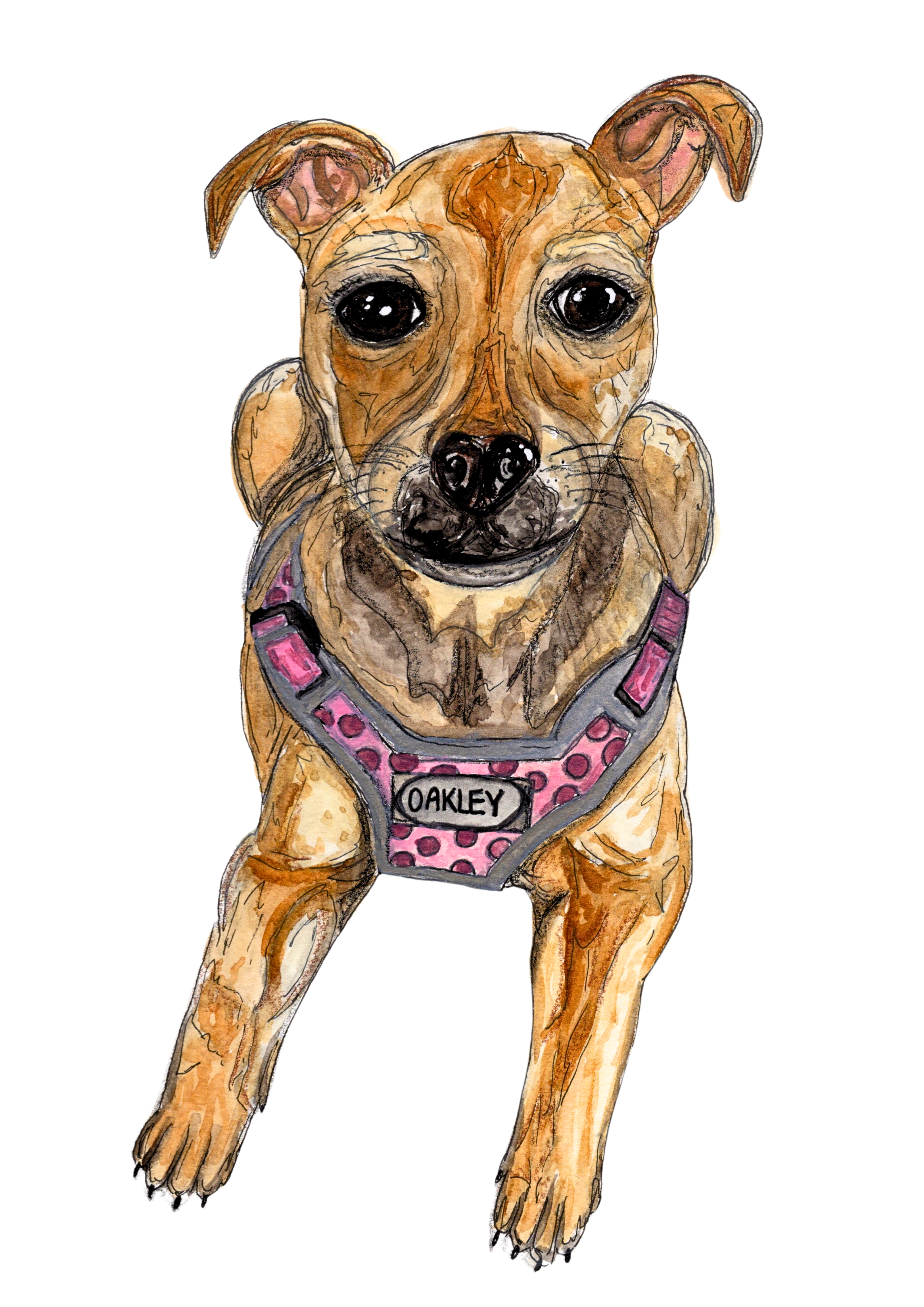 Custom Pet Portrait