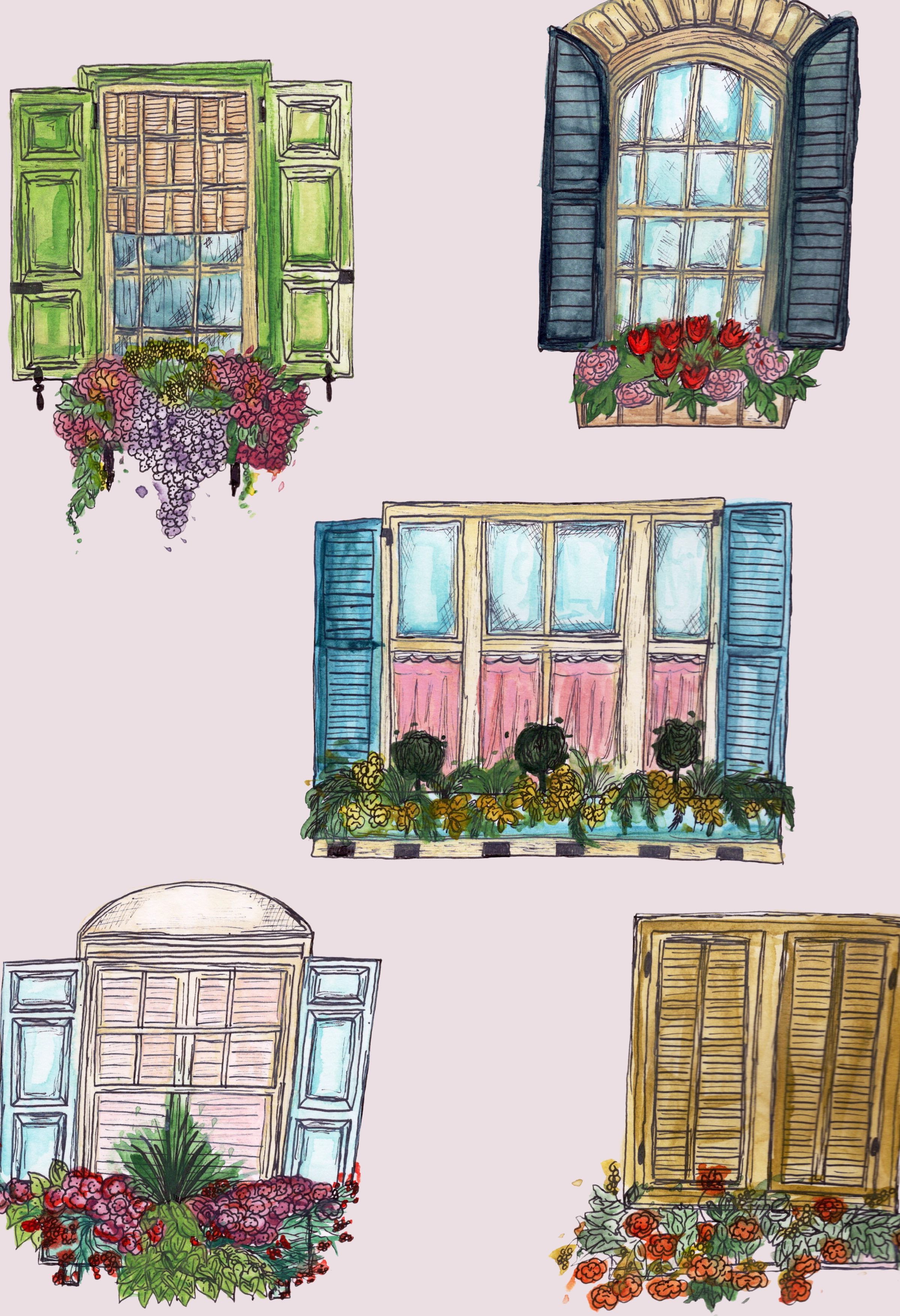 Charleston Window Box Watercolor Print