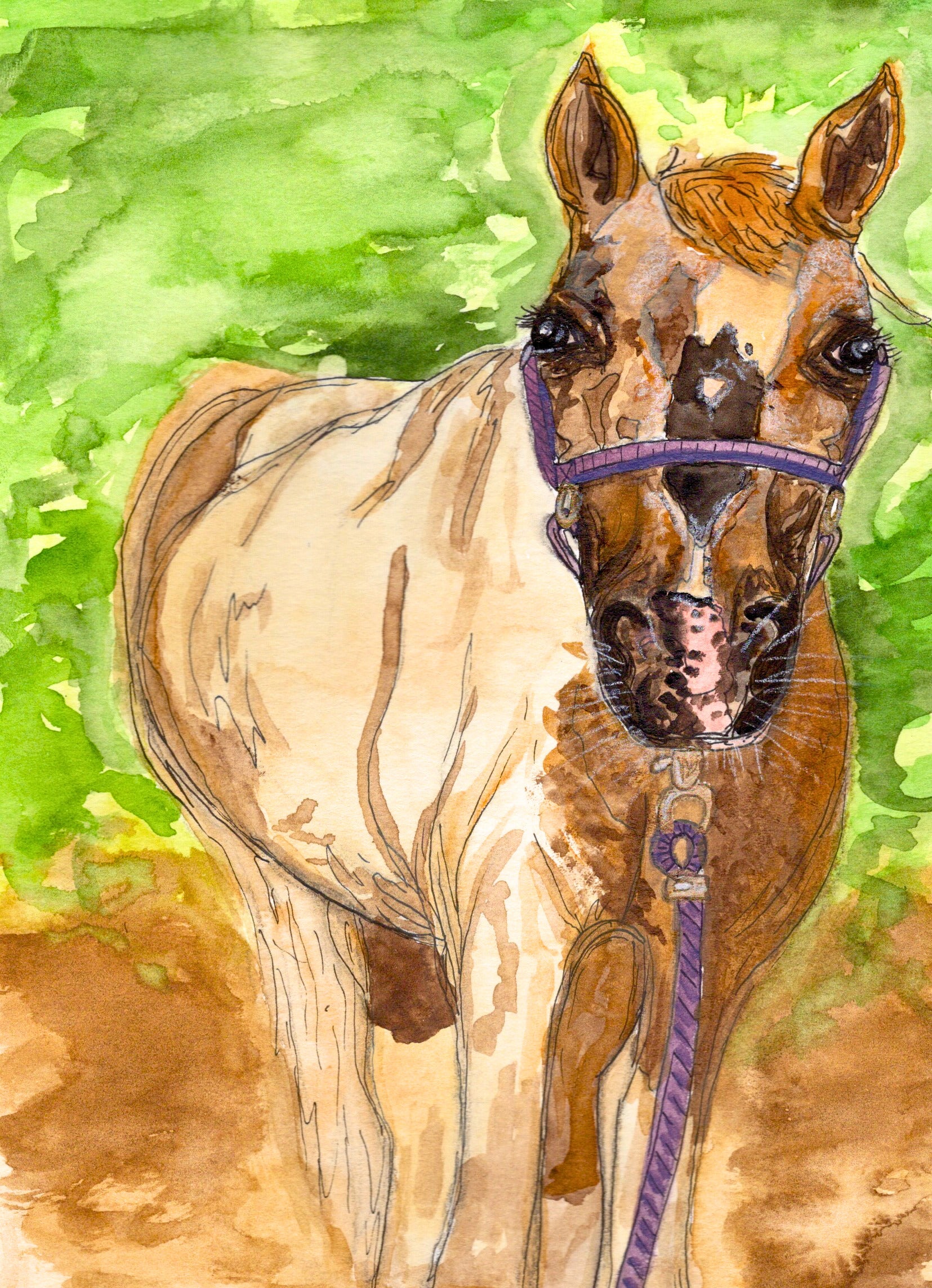 Custom Pet Portrait