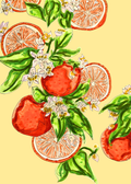 Alcohol marker illustration of oranges, citrus slices, white blossoms, and green leaves on a pale yellow background