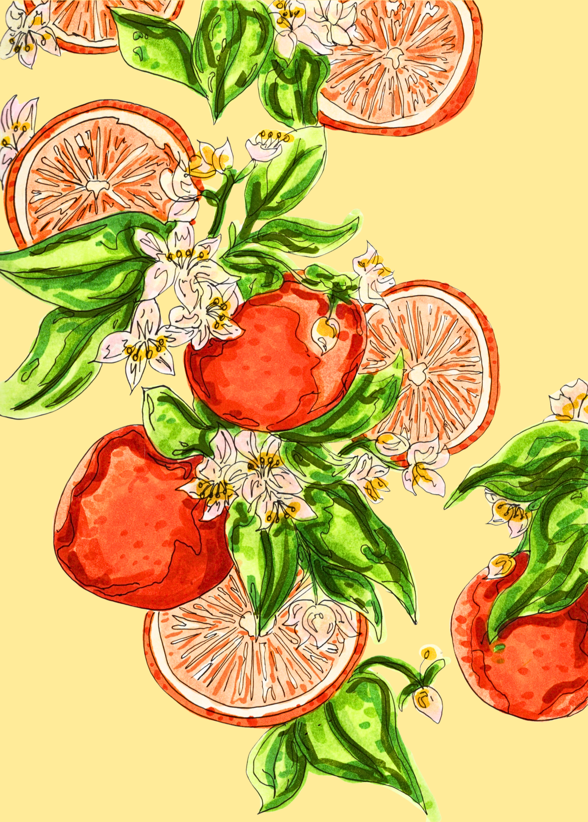 Alcohol marker illustration of oranges, citrus slices, white blossoms, and green leaves on a pale yellow background