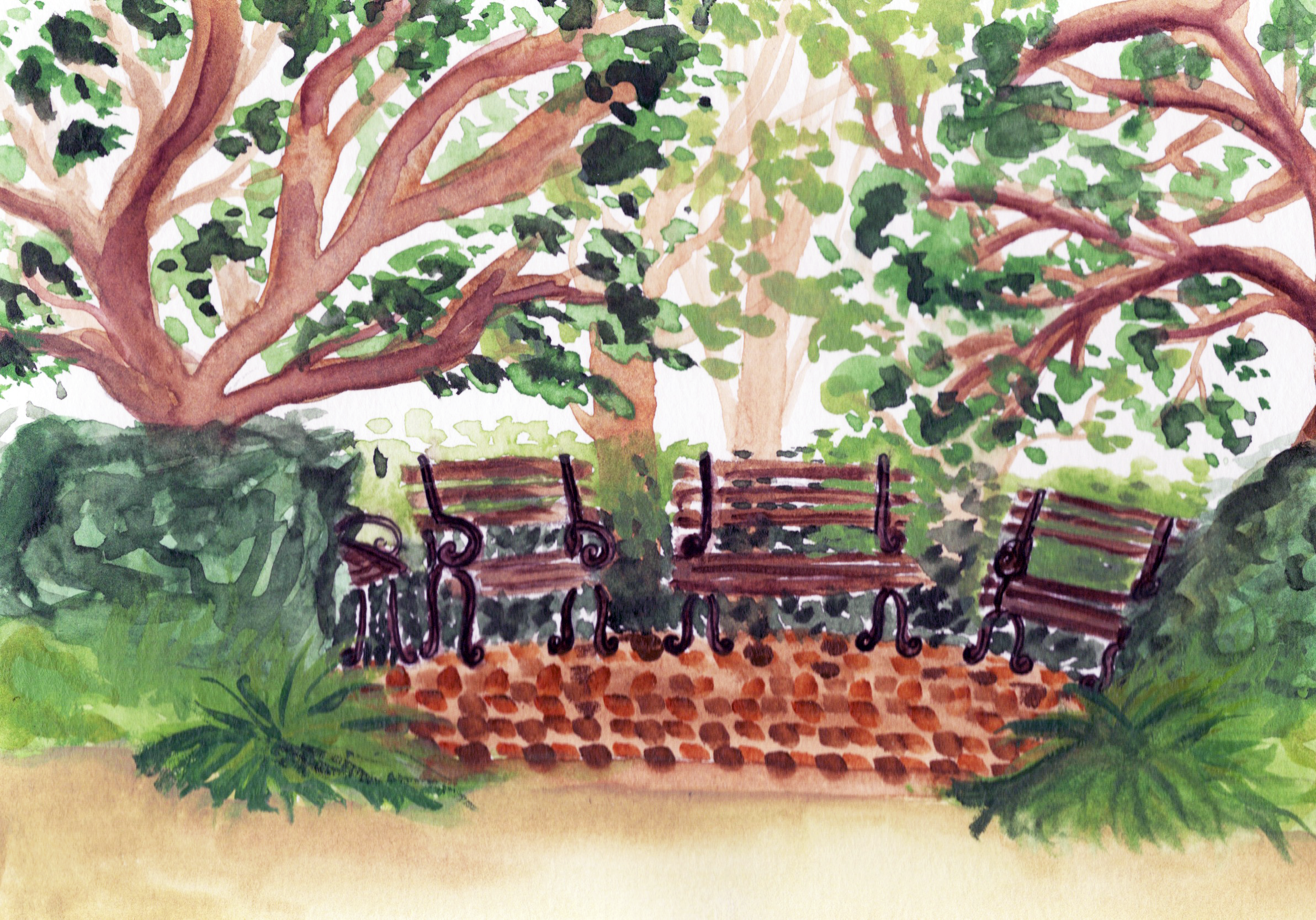 Hampton Park Benches Watercolor Digital Download