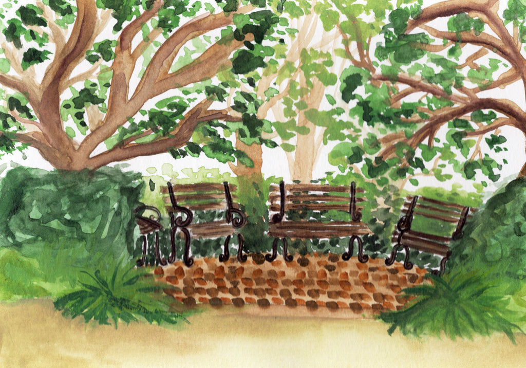Hampton Park Benches Watercolor Print
